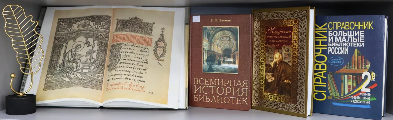 Познавательная программа Книжные тайны: приключение в библиотеке