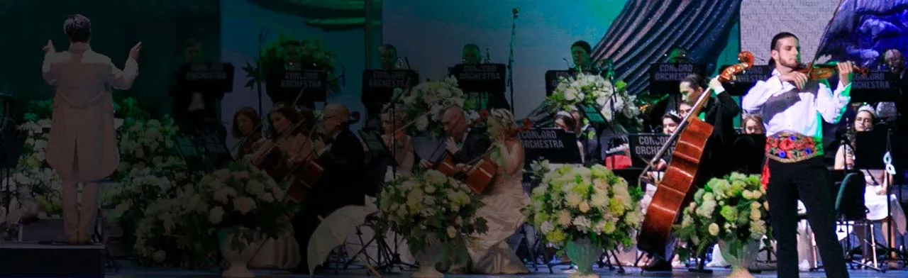 Concord Orchestra. Белоснежный бал Иоганна Штрауса