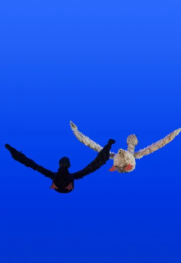 Дикий