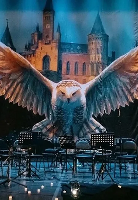Harry Potter. Magic Music