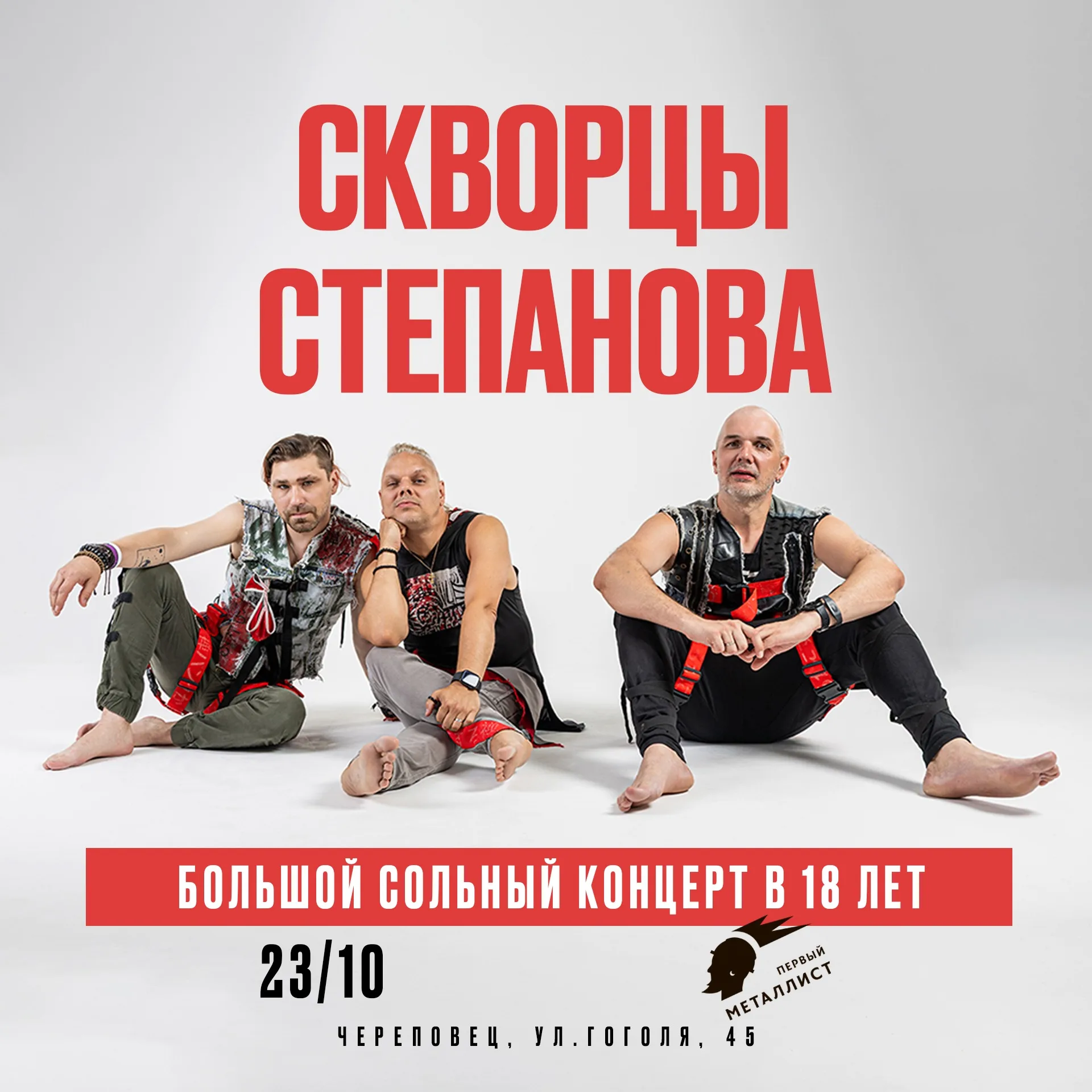 Скворцы Степанова