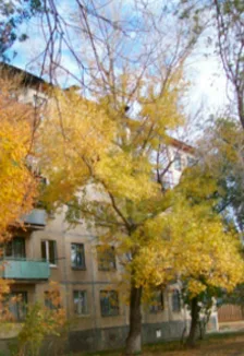 По страницам улиц города. Краеведческий квилт