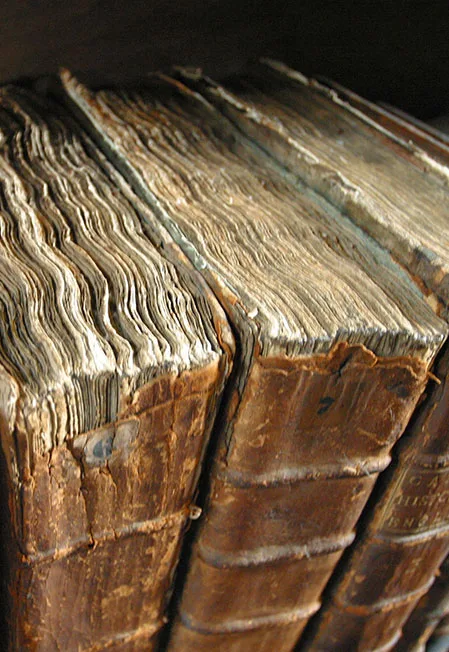 История старых книг. Библиотечный урок