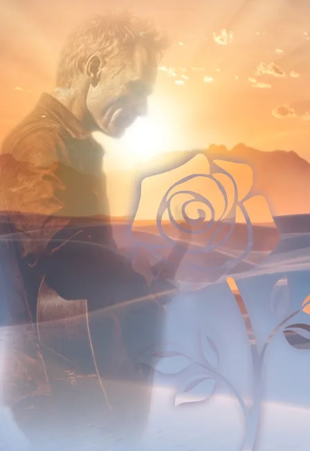 Desert Rose Symphony: Шоу Sting