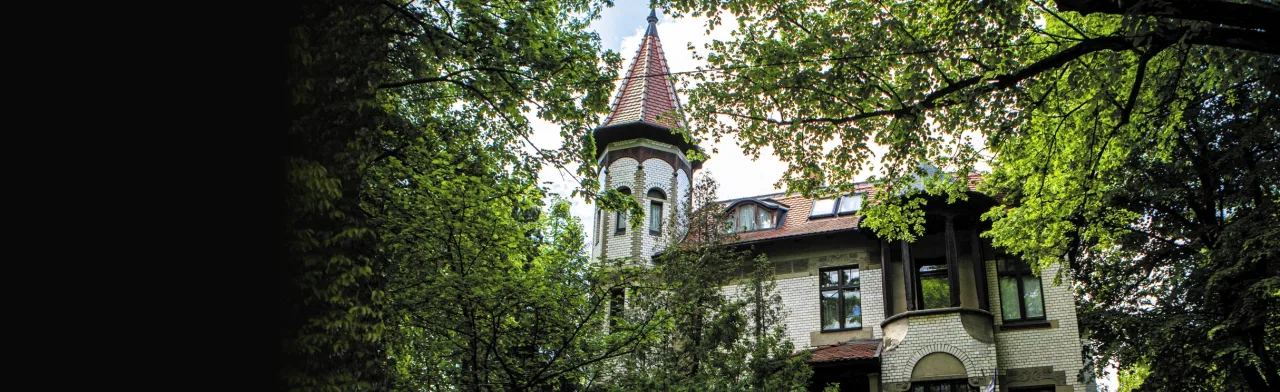 Пешеходная экскурсия Амалиенау