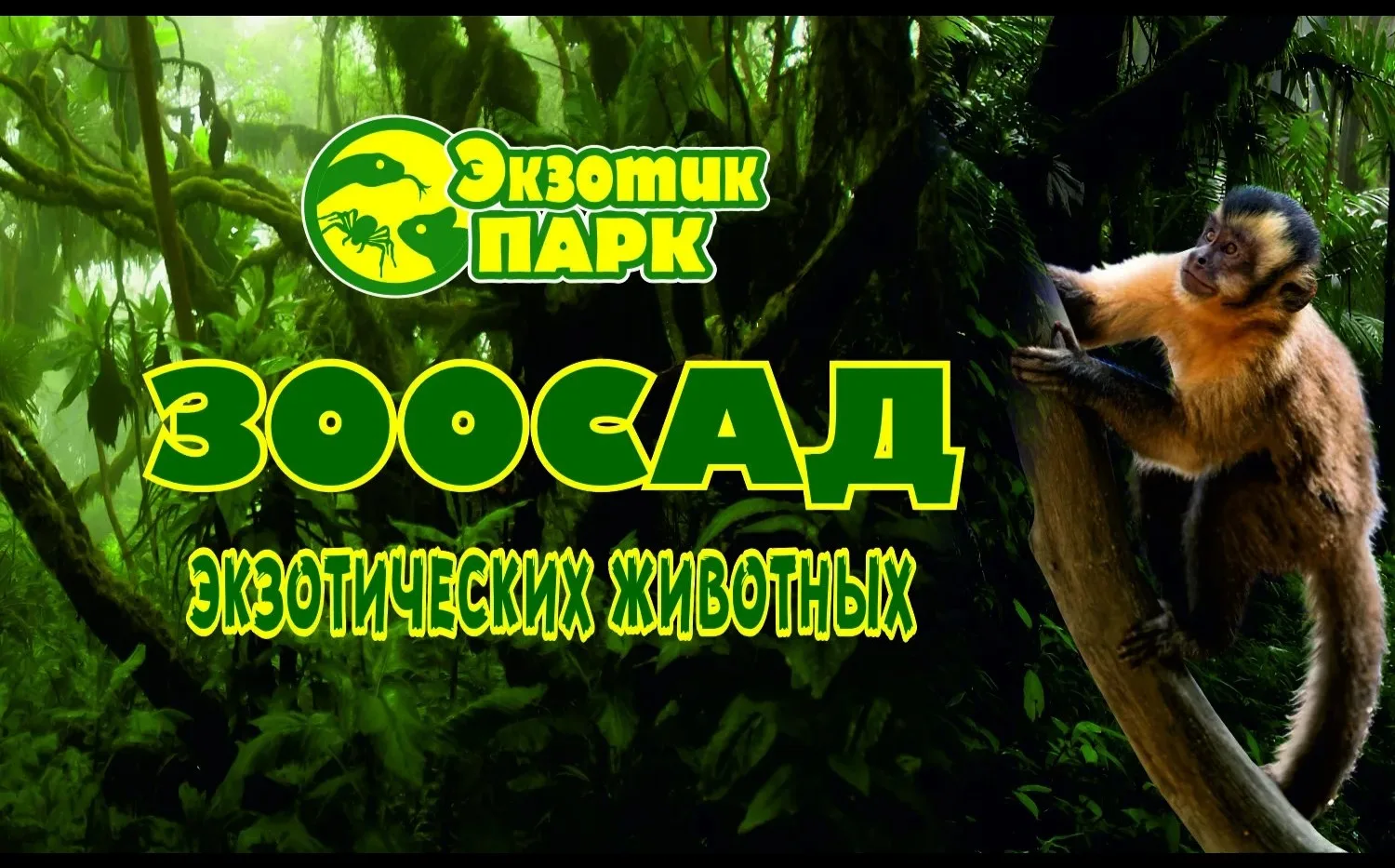 Зоосад Экзотик парк в Ростове-на-Дону