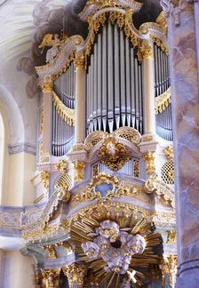 Витражи Notre-Dame
