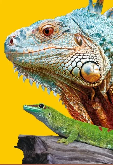 Зоотеатр рептилий