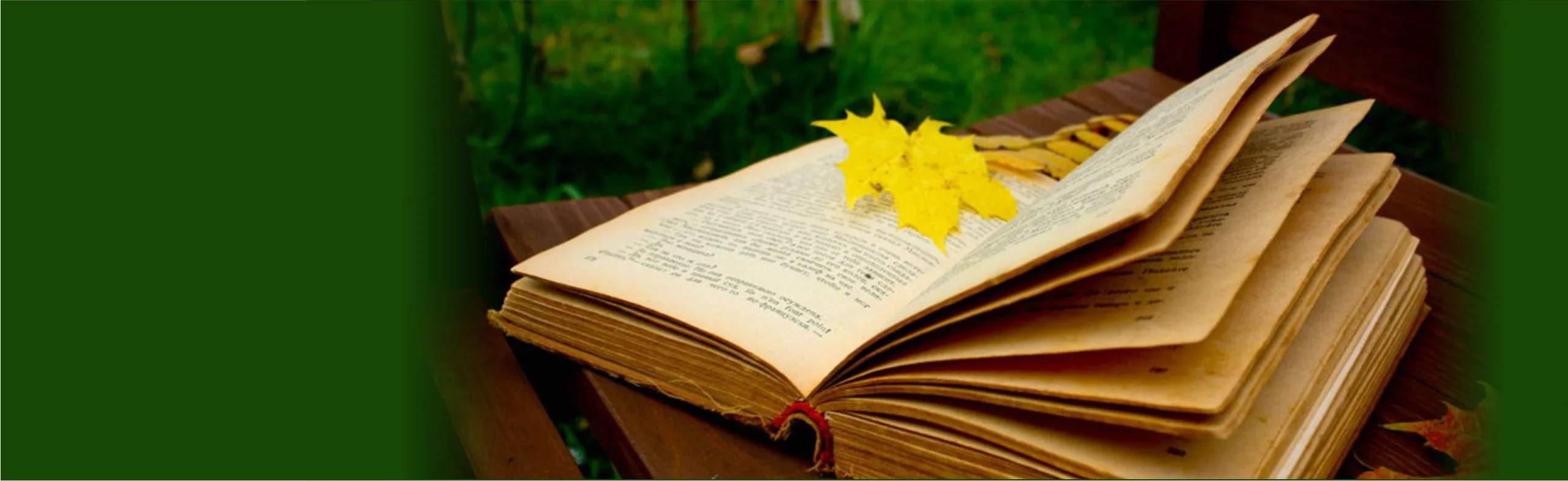 Литературное приключение «Тайны забытых книг»