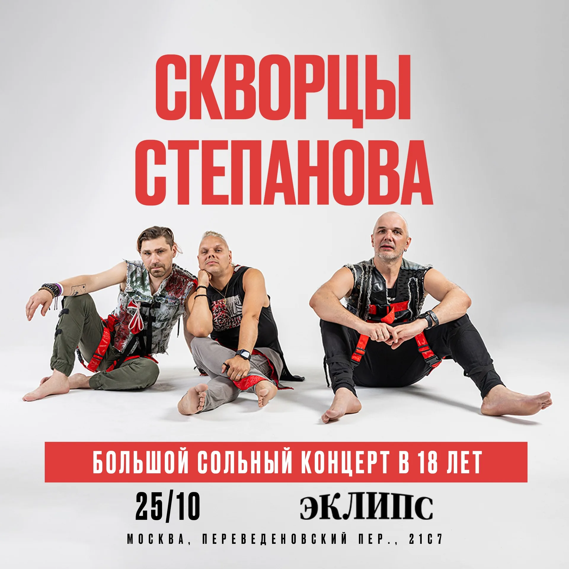 Скворцы Степанова