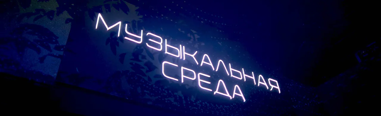 Музыкальная среда