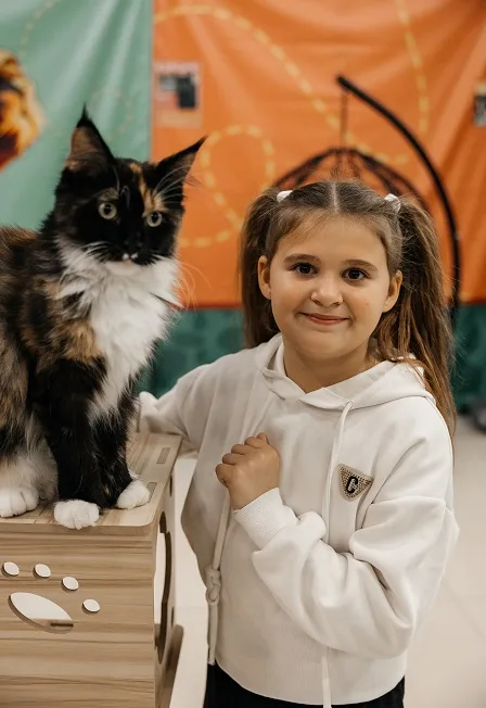 Мурфест. Выставка кошек