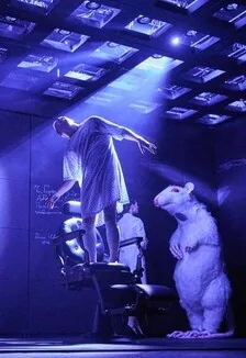 Постер: Цветы для Элджернона