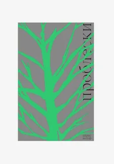 Постер: Обсуждаем книгу "Проблески", Айрис Вольф