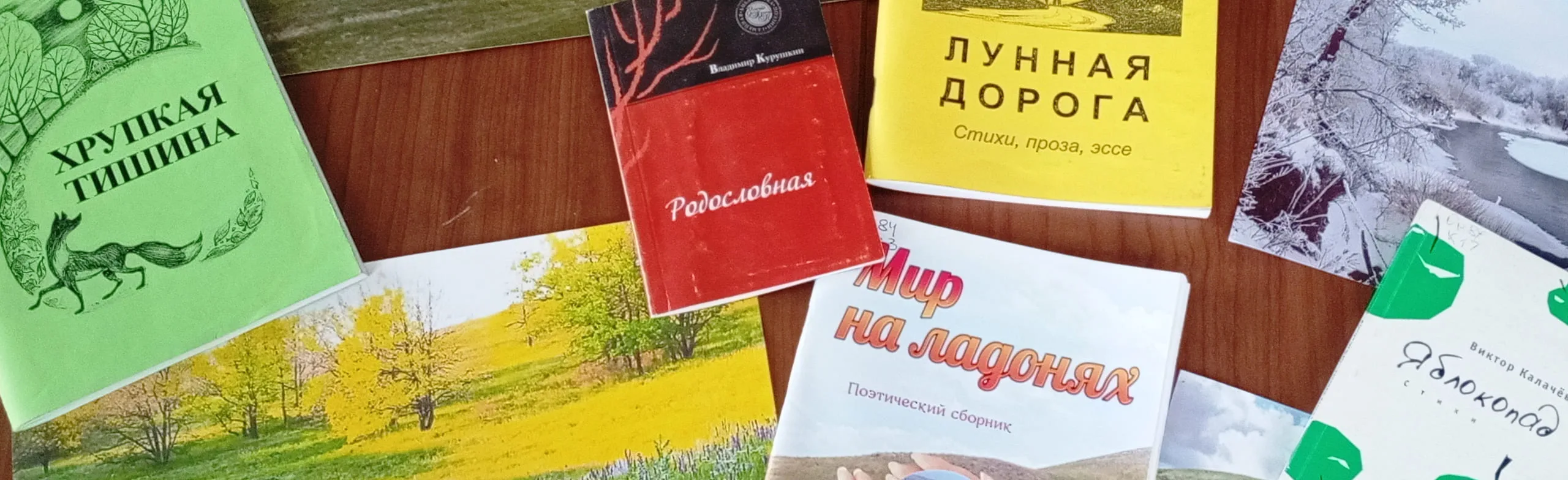 Щедра талантами родная сторона. Программа.