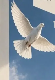 Спектакль Любовь и голуби