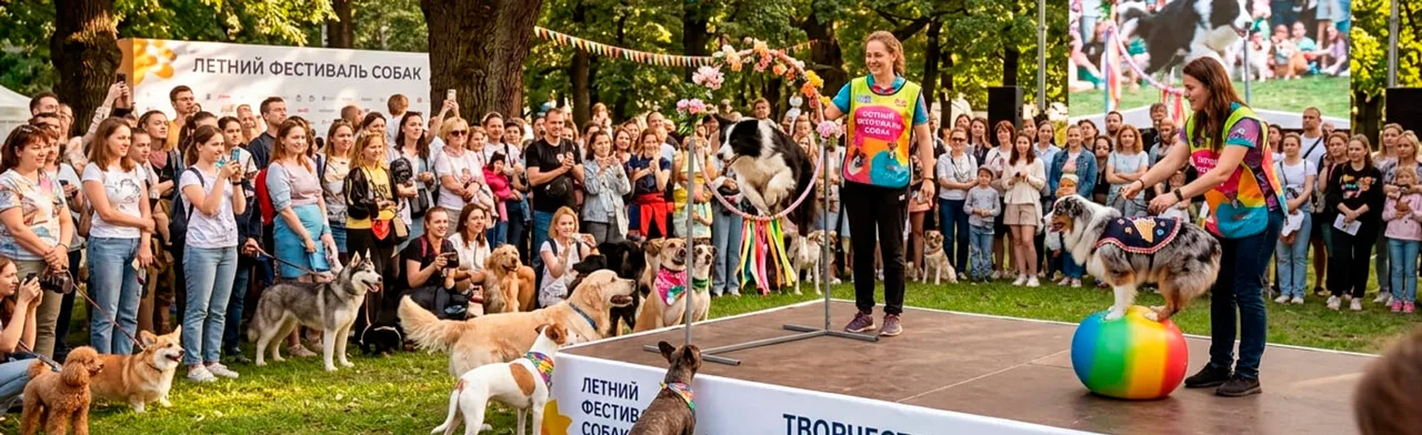 Мохнатый Пикник