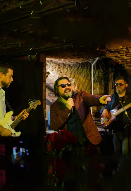 Концерт группы ZebraWood Blues Band