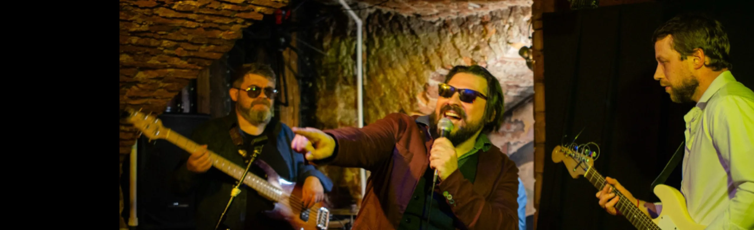 Концерт группы ZebraWood Blues Band