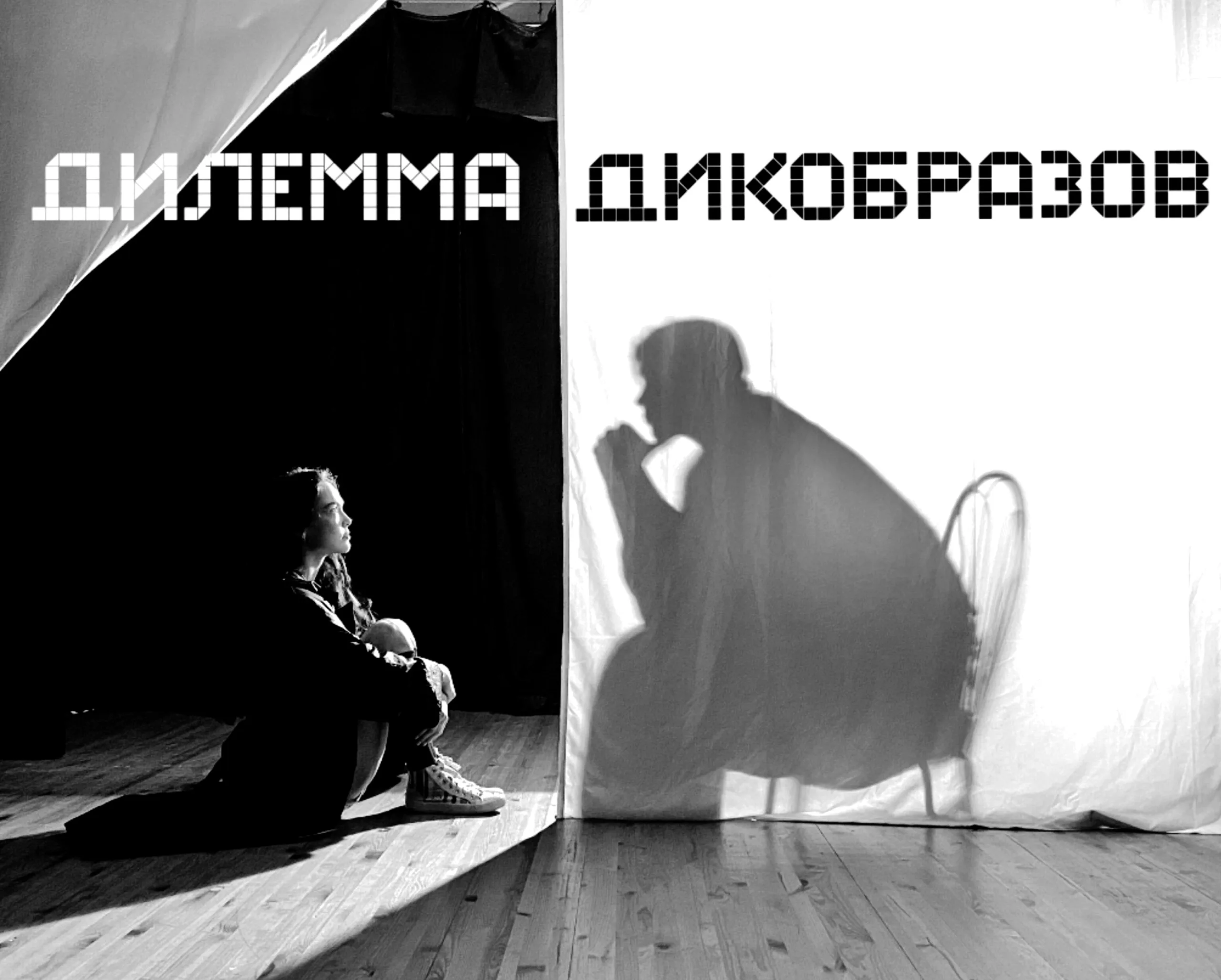 ДИЛЕММА ДИКОБРАЗОВ