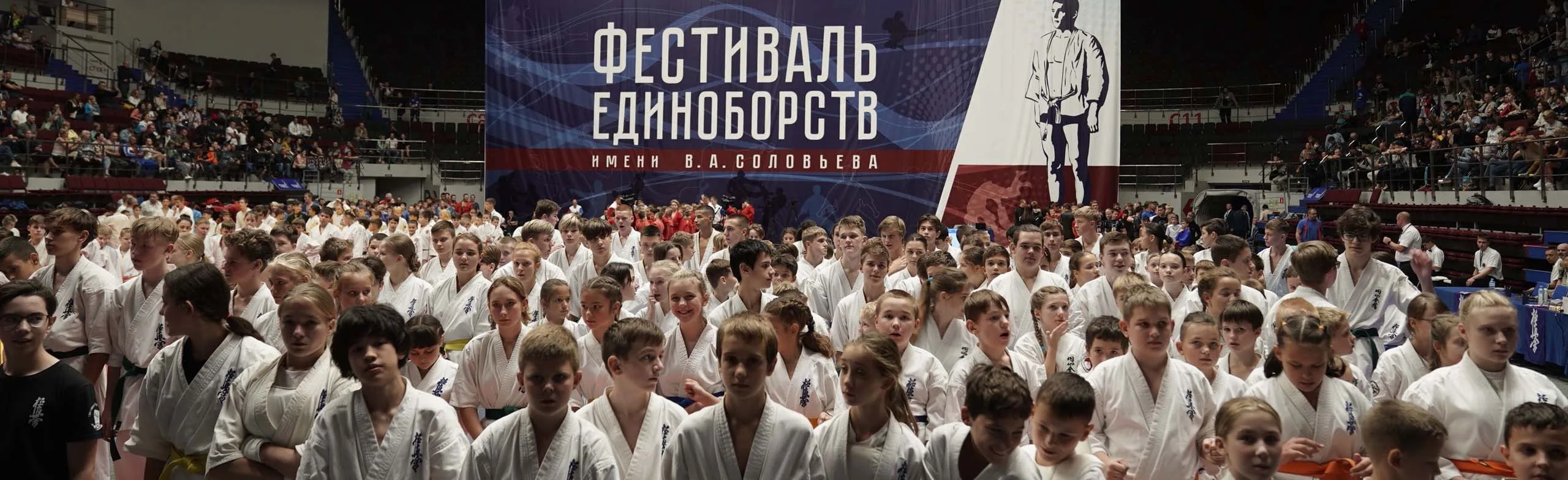 XV Фестиваль единоборств - Турнир имени В.А.Соловьева