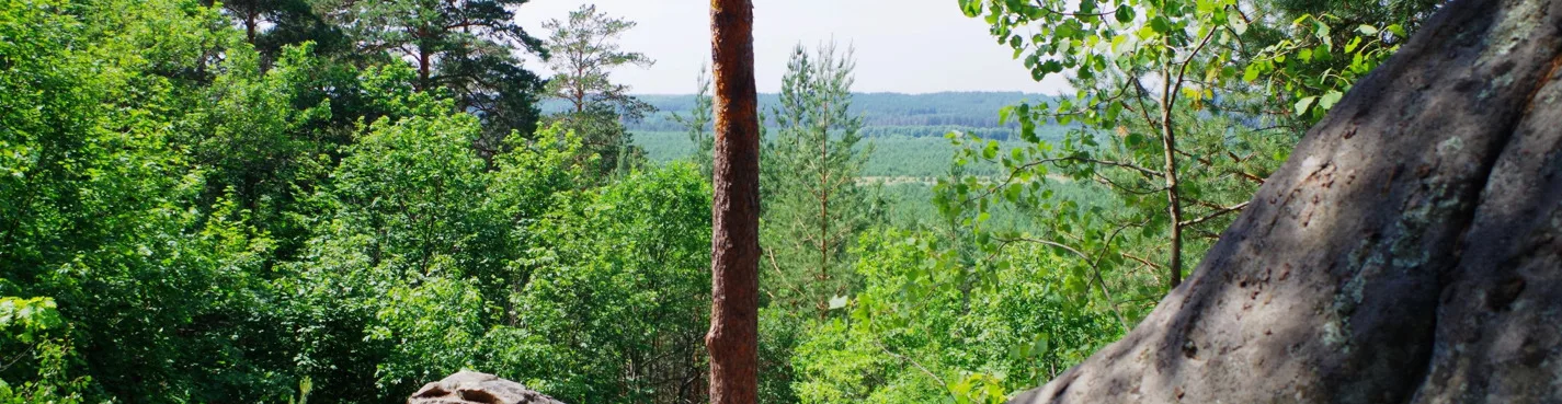 Рачейский бор и Каменный лабиринт