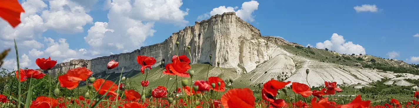 Трансфер до отеля с лучшим экскурсоводом Крыма