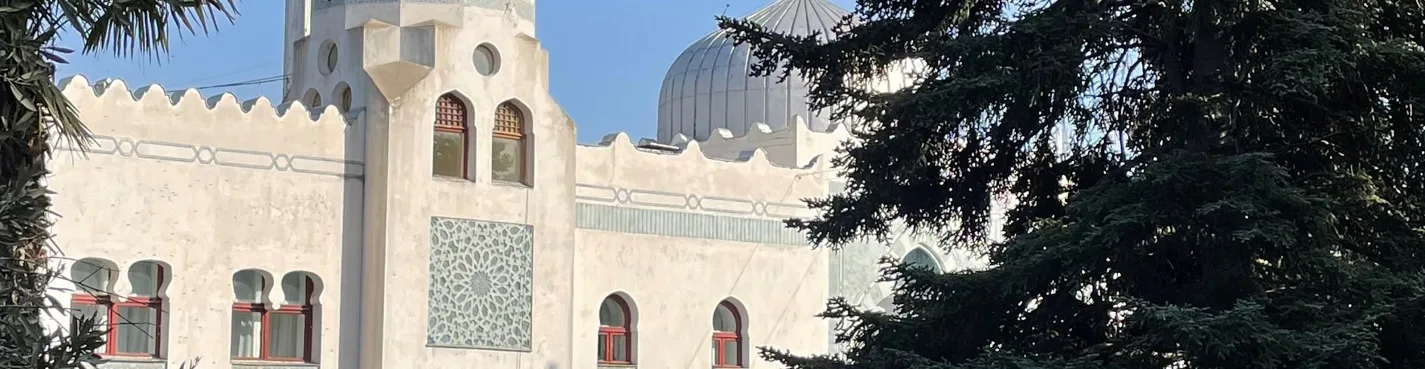 Ялта неизвестная: в гости к князьям и графам (из Алупки)