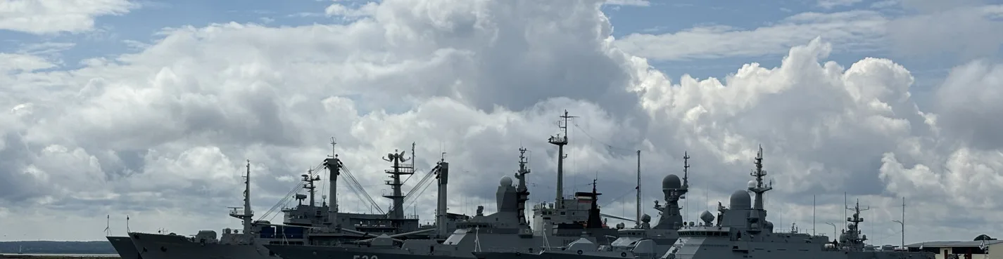 Кронштадт с Морским собором и/или Подлодкой К-3 в компании гида-историка