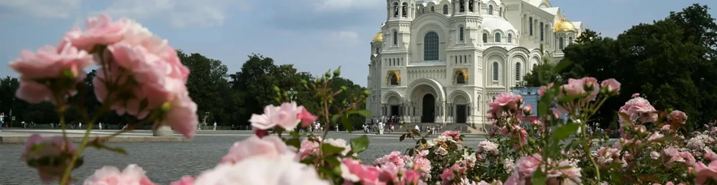 Кронштадт — город цветущих яблонь