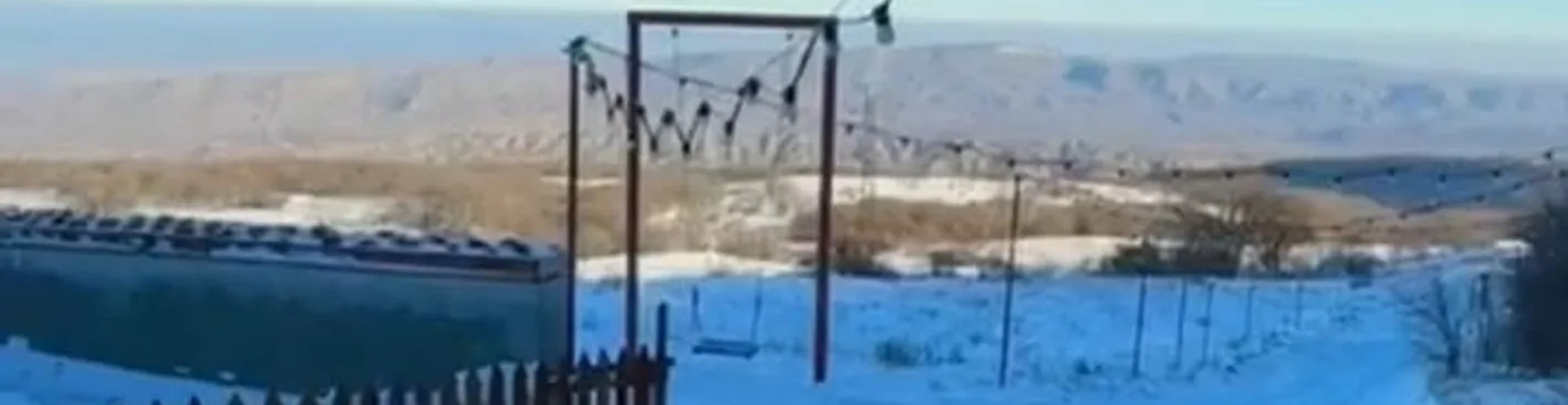 Дубовая роща из Избербаша