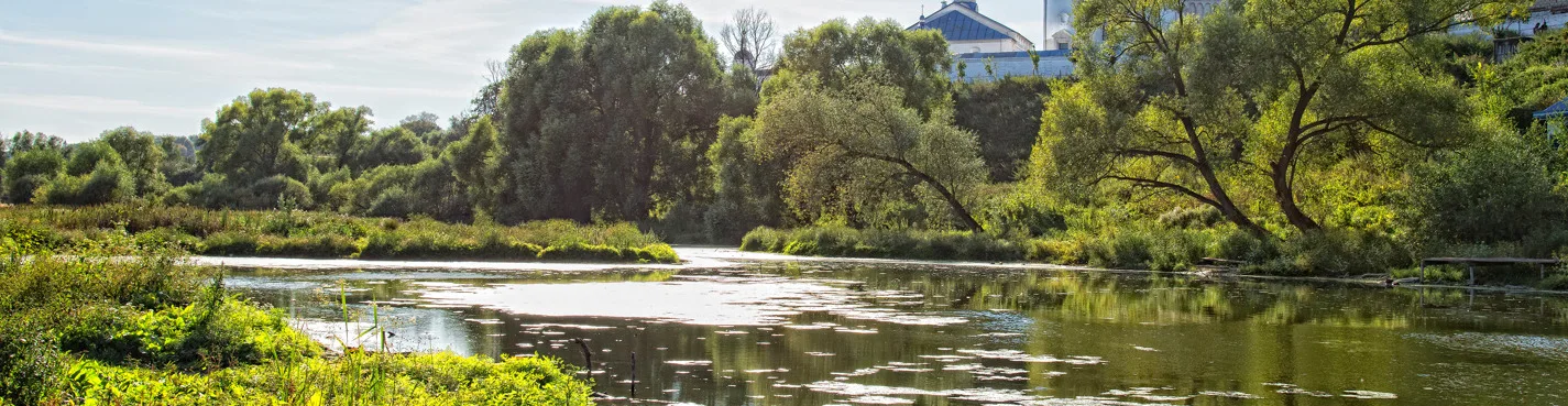 Церковь Покрова на Нерли и тайны Андрея Боголюбского