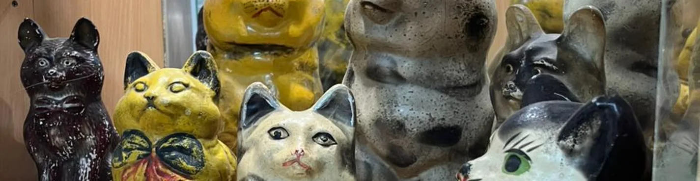 В Калугу за котами — экскурсия в уникальный калужский КотМузей