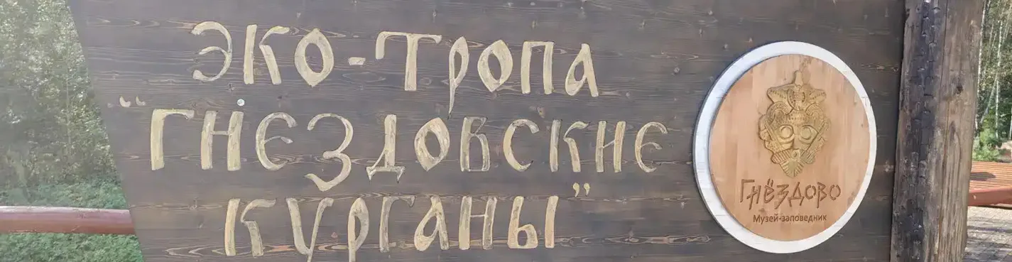 Мечи викингов в Гнёздове: тайны оружия и путь «из варяг в греки»