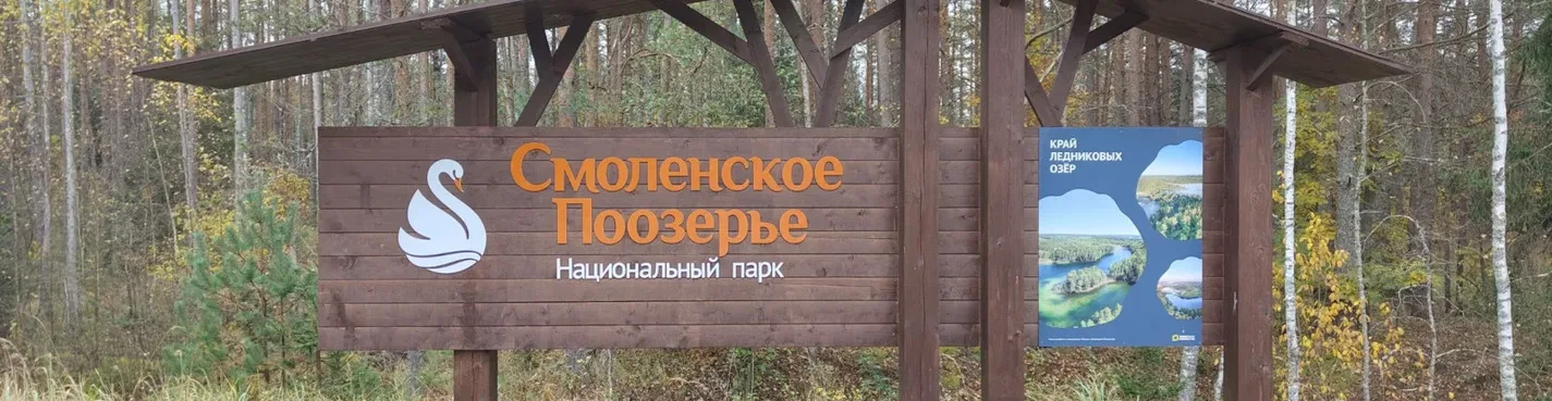 Смоленское Поозерье: в гости к зубрам Месябру и Меледи