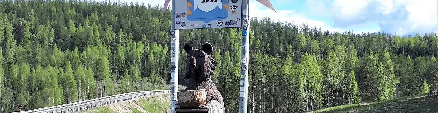 Необычные маршруты, путешествие в г. Медвежьегорск