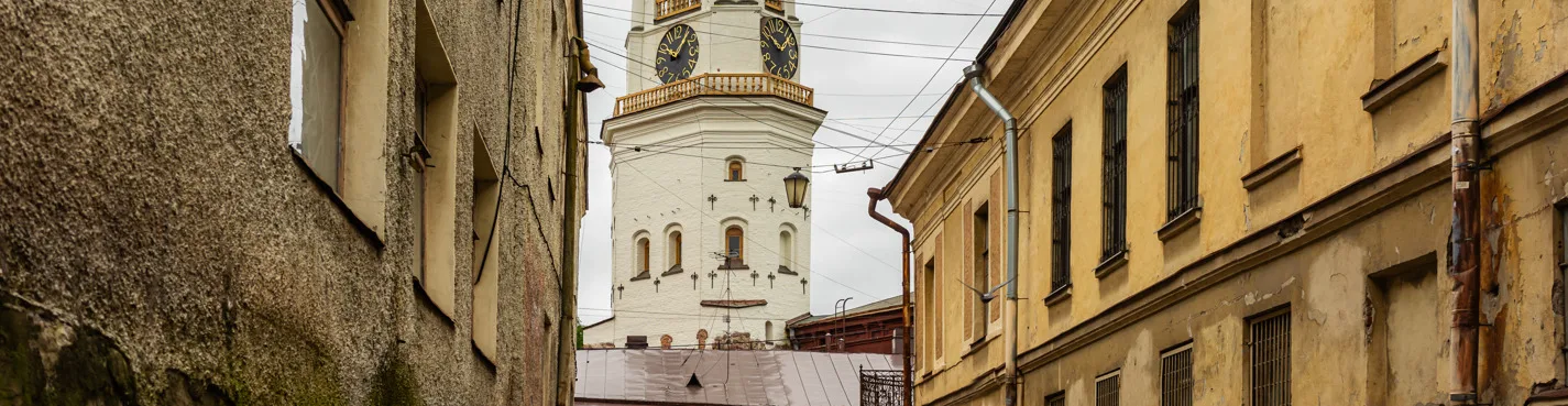 Шагая сквозь века: прогулка по Выборгу с посещением территории замка