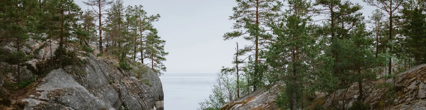Прогулка на катере в Ладожские шхеры