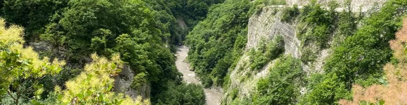 Аргунское ущелье и Нихалойские водопады